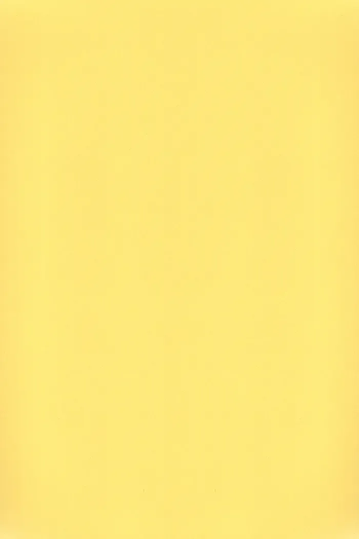 [Asaisai] Fushimi-san ga Futari ni Natte Misaki wo Semeru Hon Fhentai - Page 3