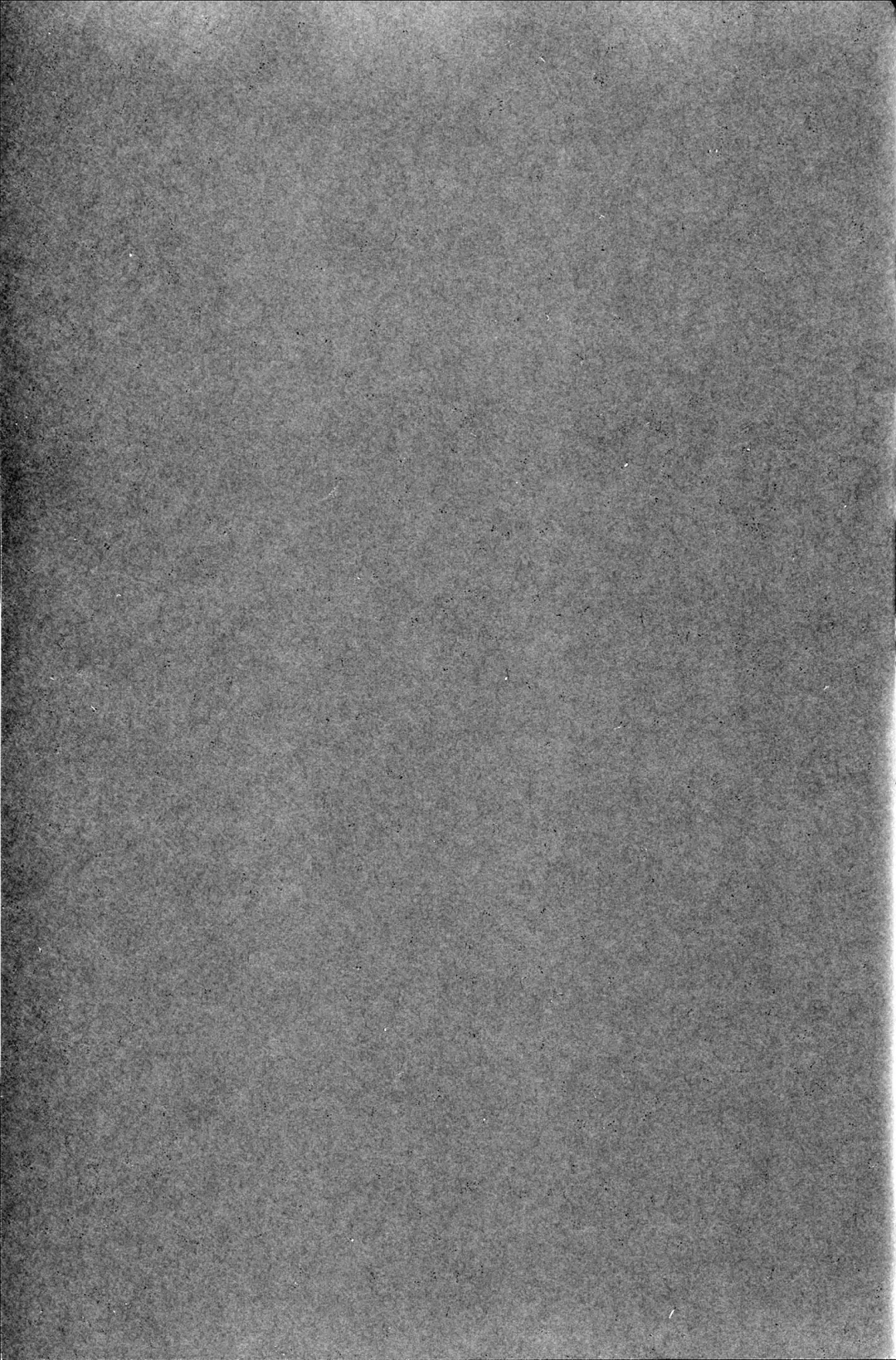 [Usagi Nagomu] Elf no Hime wa Kairaku ni Naku Fhentai - Page 3