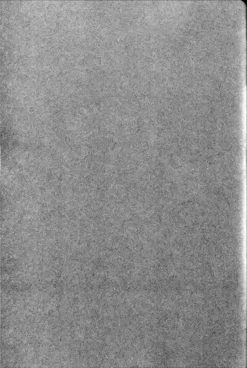 [Usagi Nagomu] Elf no Hime wa Kairaku ni Naku Fhentai - Page 36