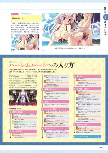 [Ayuya - Moekibara Fumitake - Nanaroba Hana] Unmei Senjou no φ Visual Fanbook Fhentai - Page 21