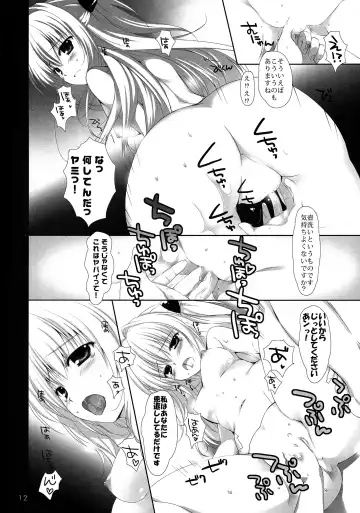 [Mikeou] Hanasaki Otome Fhentai - Page 12