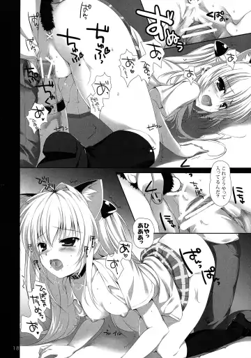 [Mikeou] Hanasaki Otome Fhentai - Page 18