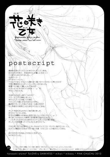 [Mikeou] Hanasaki Otome Fhentai - Page 25