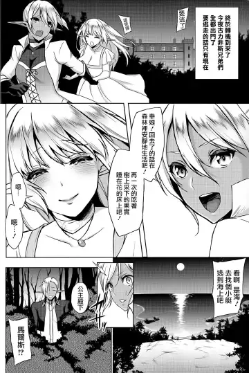 [Usagi Nagomu] Elf no Hime wa Kairaku ni Naku Fhentai - Page 16
