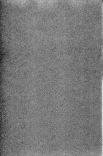 [Usagi Nagomu] Elf no Hime wa Kairaku ni Naku Fhentai - Page 4