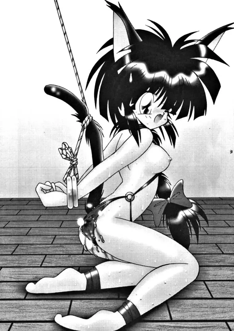 [Uo] Yoroshiku, Inu Dog RSC Fhentai - Page 30