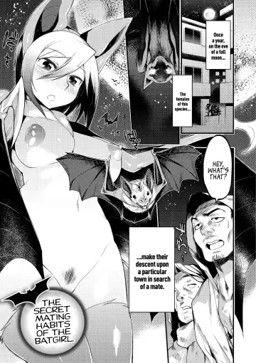 Read [Mizone] Jitsuroku! Koumori Onna-tachi no Hanshokuki | The Secret Mating Habits of the Batgirl - Fhentai