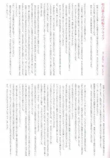 Gensoukyou Baby Boom ~Ninshin Fantastica APPEND~ Fhentai - Page 22