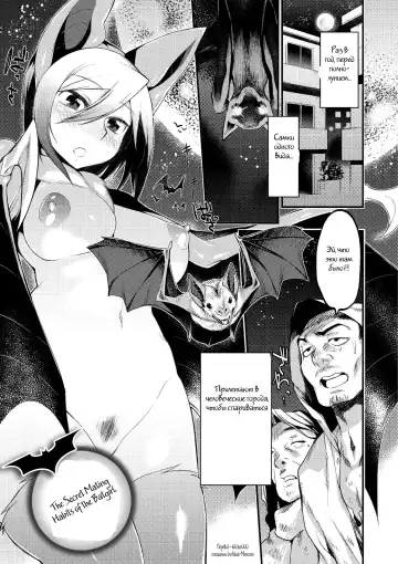 Read [Mizone] Jitsuroku! Koumori Onna-tachi no Hanshokuki | The Secret Mating Habits of the Batgirl - Fhentai