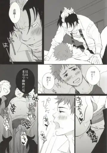 Sugu Shima Hayaku Ecchi Shiro! Fhentai - Page 31