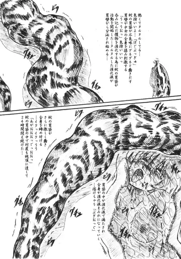 [Sumomo Ex] Vivian Bessatsu 32 Ugomeku Ibukuro Fhentai - Page 13