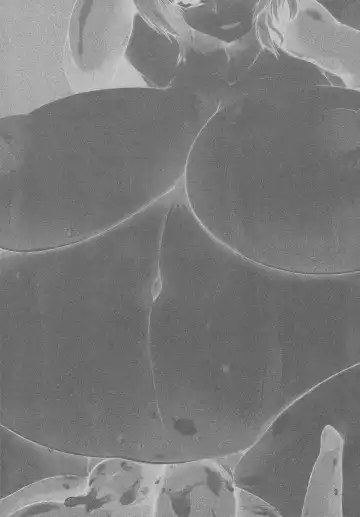 [Pandain] Shokushu Chireiden ~Komeiji Satori~ Fhentai - Page 2