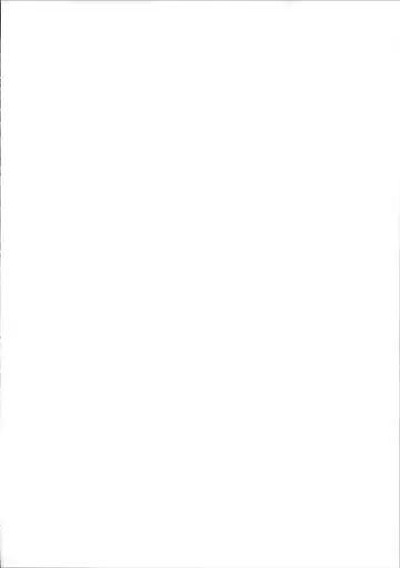 [Bowcan] Kaede Darakuron Fhentai - Page 4