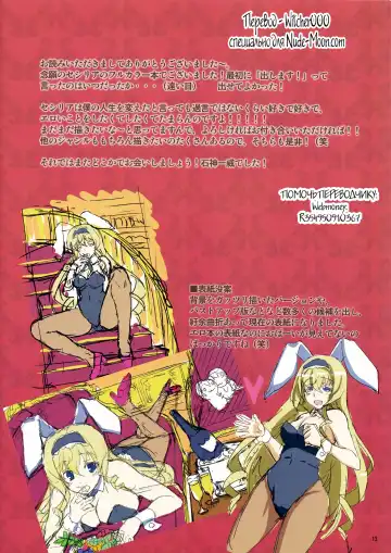 [Ishigami Kazui] Cecilia Usagi wa Hatsujou Chuu Fhentai - Page 12