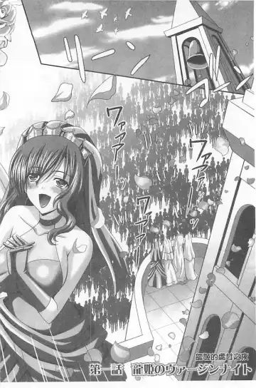 [Sinbo Tamaran] Harem Wedding The Sweet Honeymoon Fhentai - Page 10