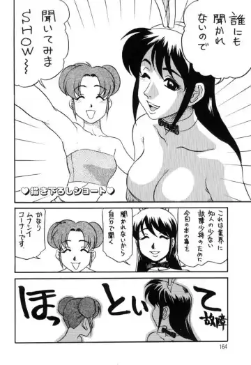 [Koshow Showshow] Hisho No Oshigoto Fhentai - Page 164