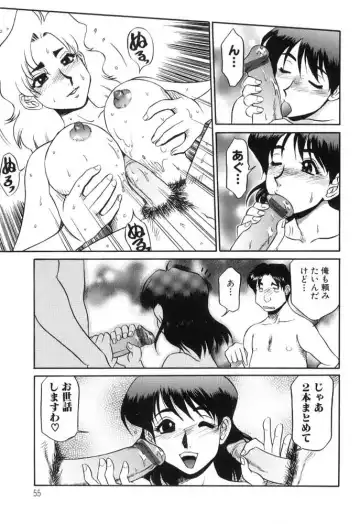 [Koshow Showshow] Hisho No Oshigoto Fhentai - Page 55