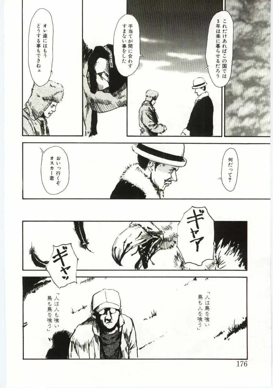 [Machida Hiraku] Alice Brand Fhentai - Page 175