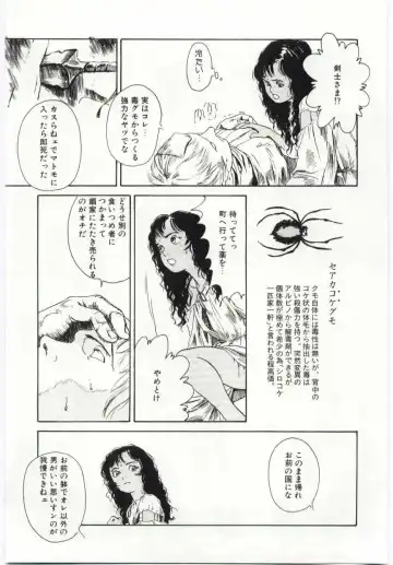 [Machida Hiraku] Alice Brand Fhentai - Page 32