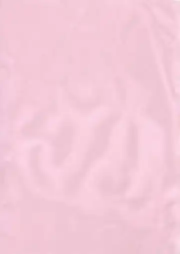 [Gust-san] DOAX no Oppai Suki Suki Fhentai - Page 2