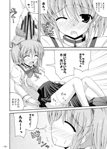 [Yumeno Shiya] Homu Homu no Bousou Fhentai - Page 13