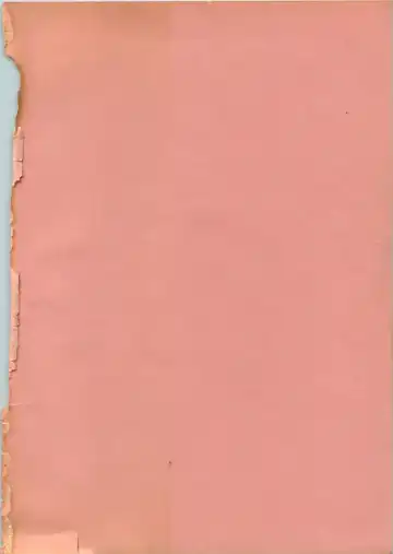 [Ebifly] Itoshi no Ebi Senbei Fhentai - Page 185