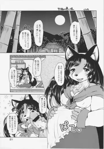 Touhou PLUMFUR 3 Fhentai - Page 21