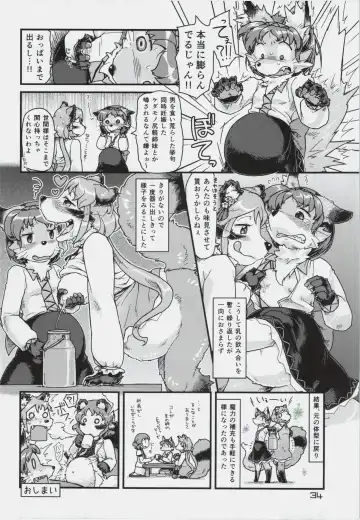 Touhou PLUMFUR 3 Fhentai - Page 34