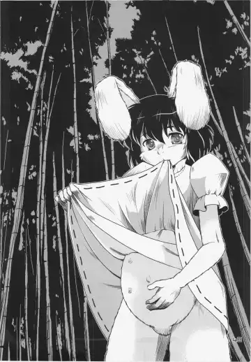 Touhou PLUMFUR 3 Fhentai - Page 48