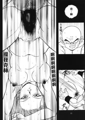 [Garland] DRAGONBALL H Fhentai - Page 10