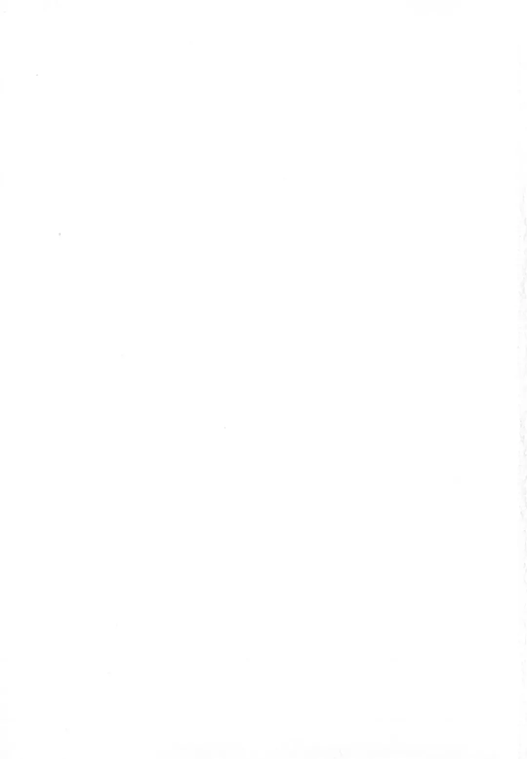 [Catapult] Shoujo Inu - The Girl Dog Fhentai - Page 170