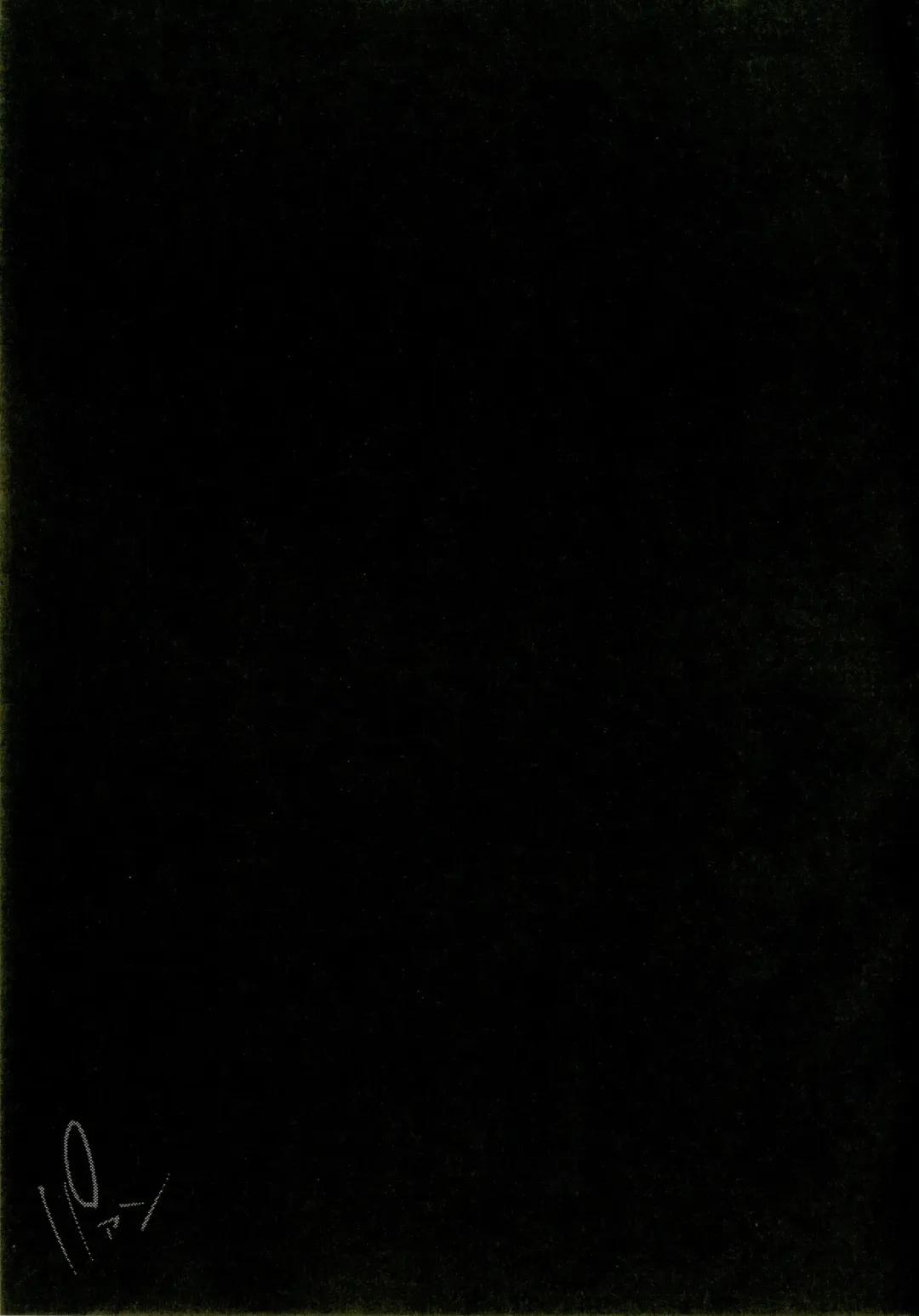 [Mirino] Wowari no Yume Fhentai - Page 25