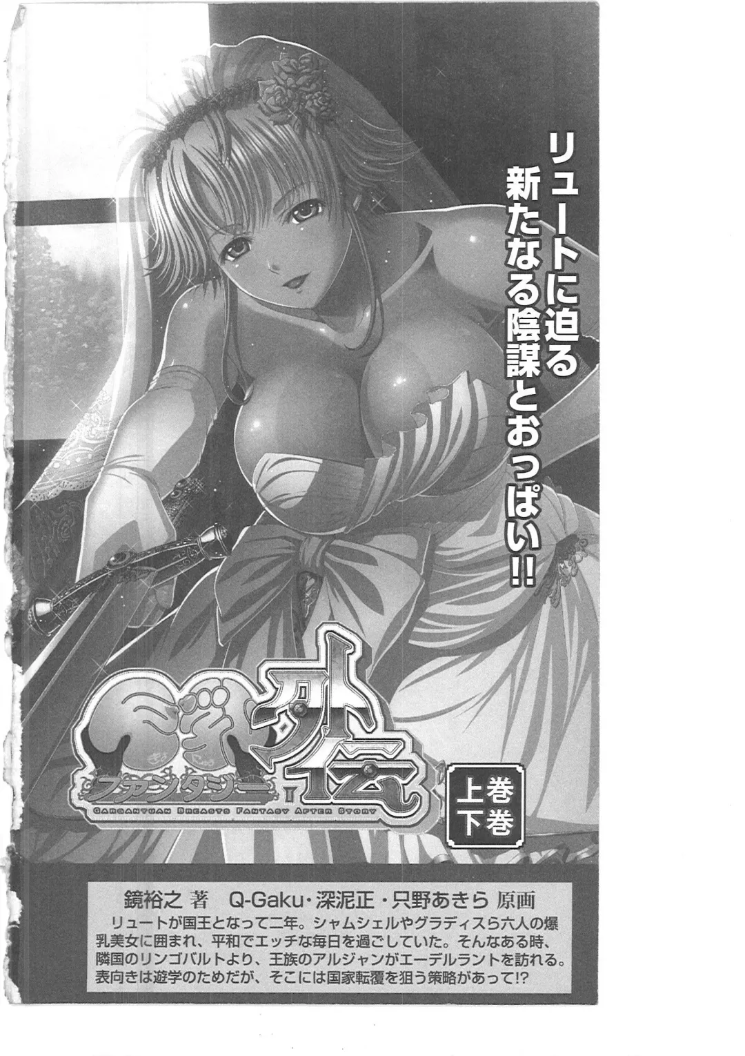 [Mizoro Tadashi - Q-gaku] Kyonyuu Fantasy 2 Manyuu Henkyou Hen Fhentai - Page 222