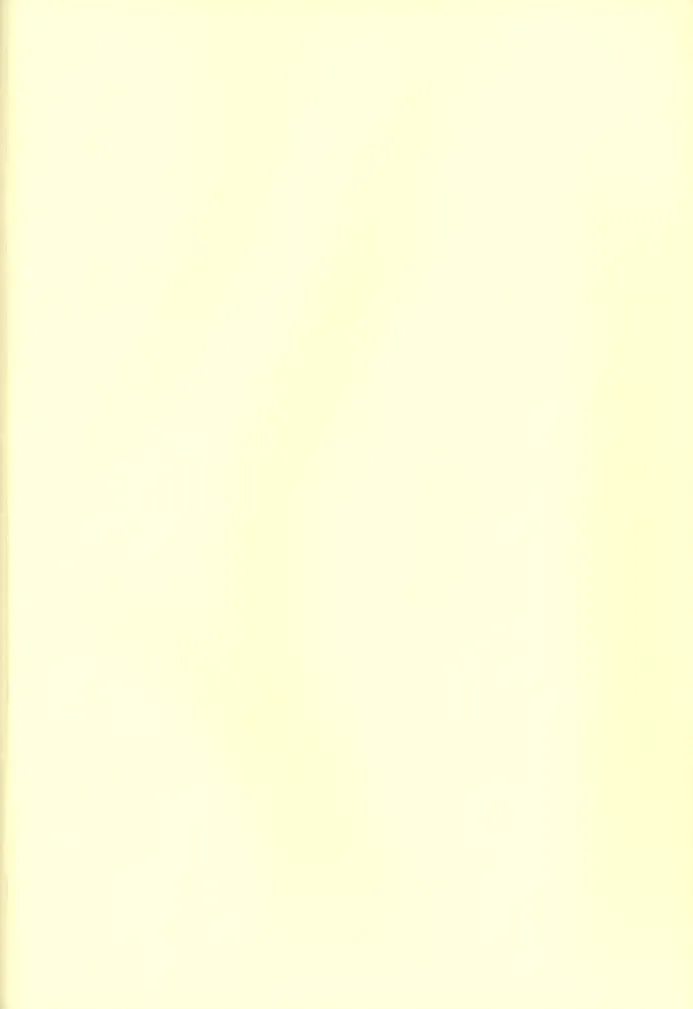 [Midoriqa] Soramame no Cream "ae" Spaghetti Fhentai - Page 51