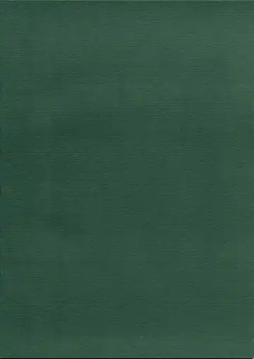 [Raita] Forget Me Not Fhentai - Page 30