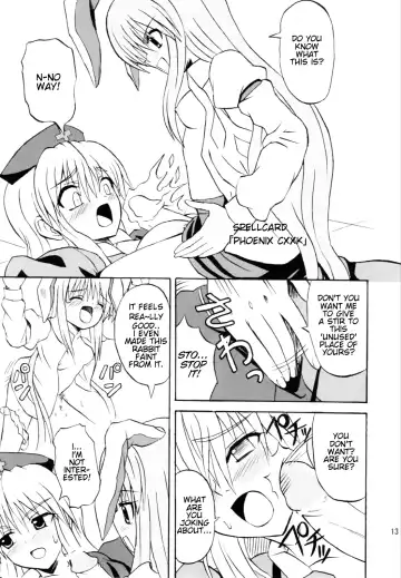 [Takaku Toshihiko] Touhou Youjo Ranbu 6 | Touhou Enchantresses' Dance 6 Fhentai - Page 10