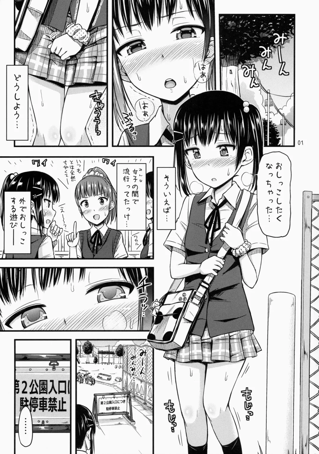 [Tsuttsu] Hounyoukei Shoujo Fhentai - Page 2