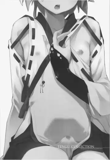 [Karoti - Rougetu - Soine] TENGU COLLECTION Fhentai - Page 3