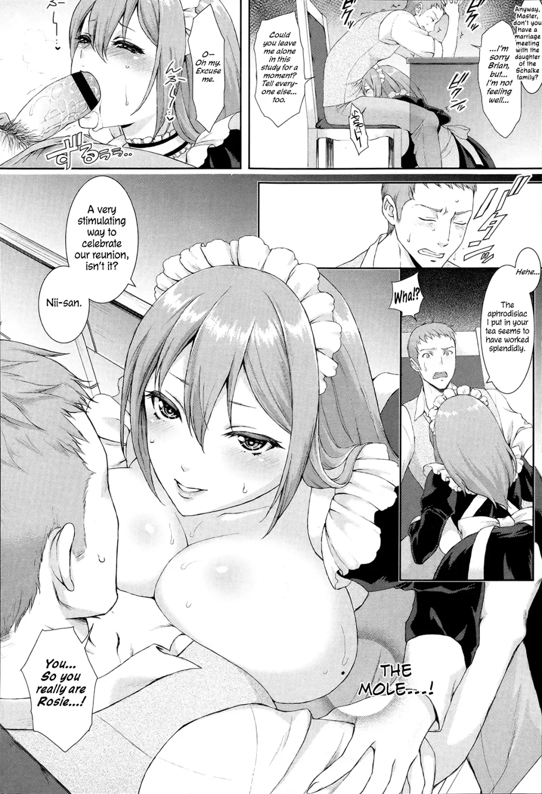 [Usagi Nagomu] Passiomaid Sister Fhentai - Page 8