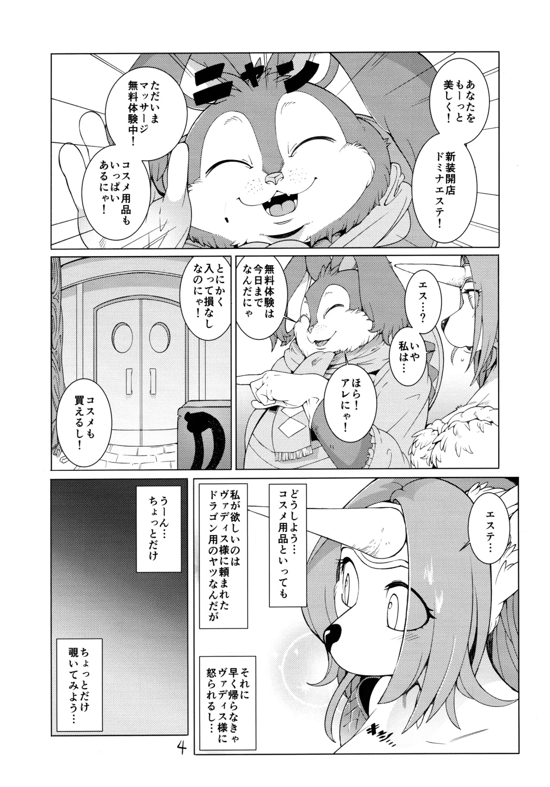 [Sindoll] Domina De Est Fhentai - Page 3