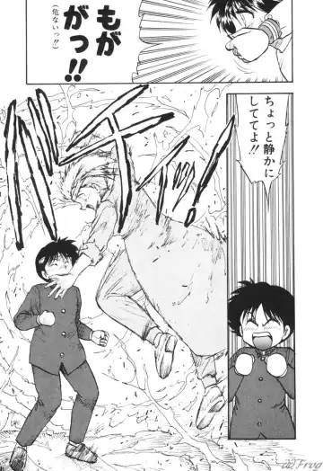 [Hiryuu Ran] Gensou Shoujo Zukan Fhentai - Page 169