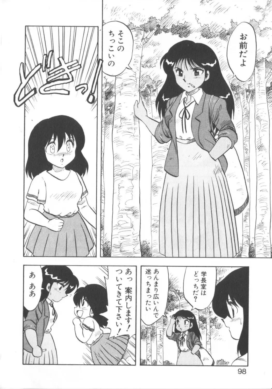 [Hiryuu Ran] Super Sister Fate Fhentai - Page 96