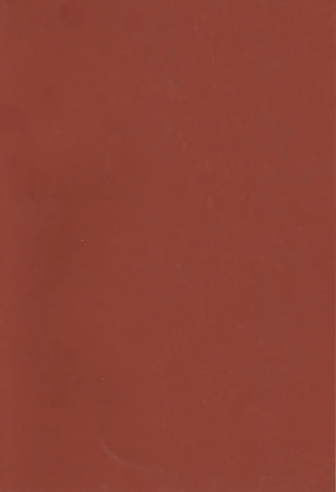 WHAT THE HELL Fhentai - Page 2