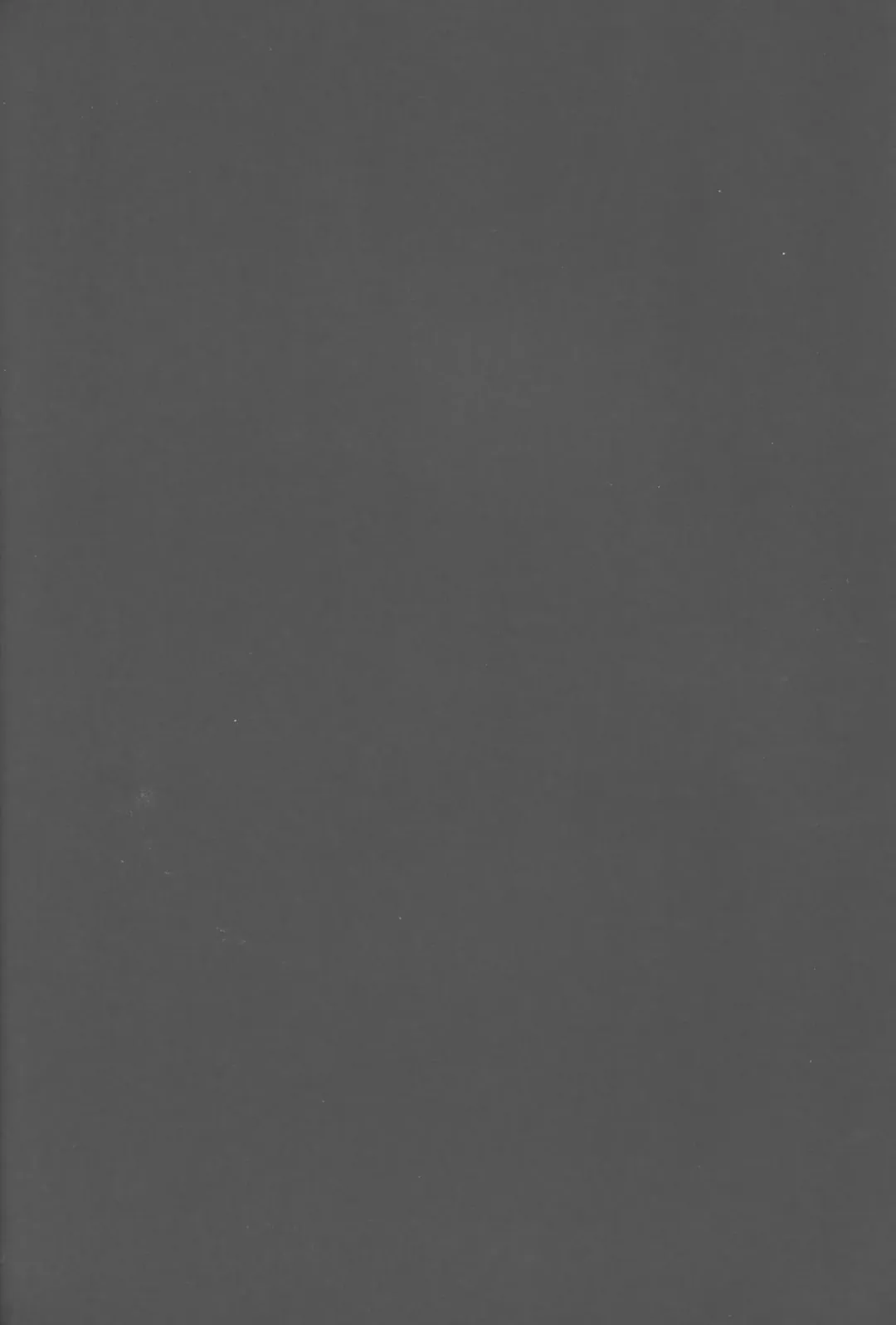 [Kirin Kakeru] OtaCir no Hibi Fhentai - Page 31