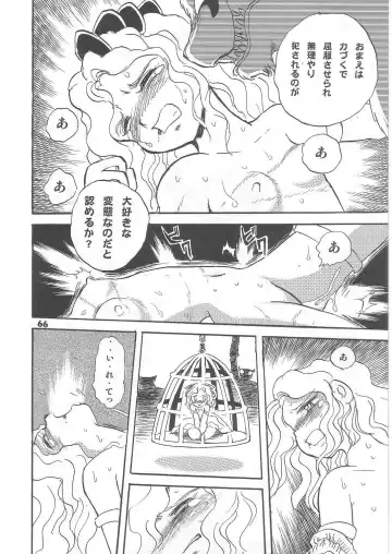 [Hasegawa Yuuichi] Fallen Angel Dora 2 Colosseum Fhentai - Page 66