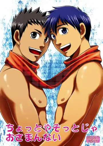 Read [Hinata Yagaki] Chotto ya Sotto ja Osamannai | not satisfied with a little or a quickie - Fhentai