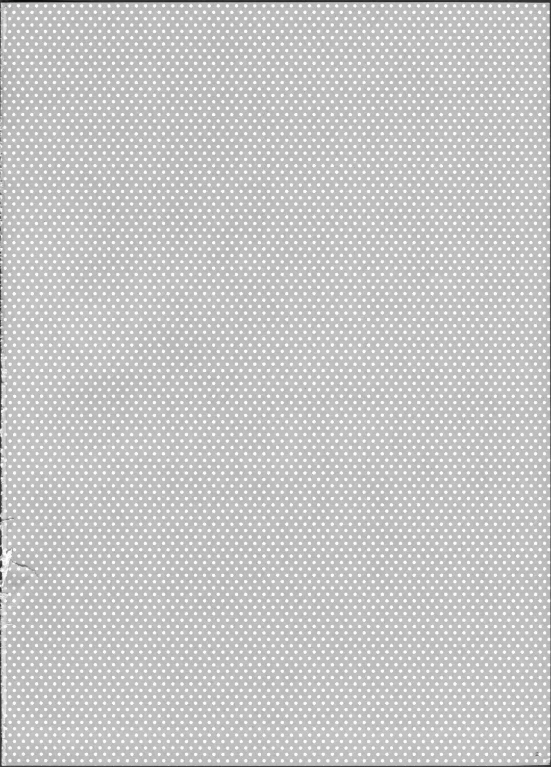 [Mytyl] Hime Hajime! Fhentai - Page 4