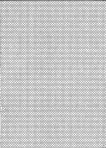 [Mytyl] Hime Hajime! Fhentai - Page 4