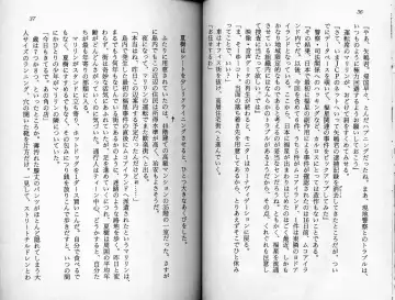 [Kaishaku] Satsuriku no Cyber City - Undead Game Fhentai - Page 21