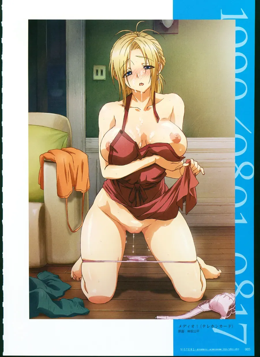 [Taki Minashika] SISTERS ~ Natsu no Saigo no Hi ~ ULTRA EDITION Official Funbook 1990/0801-0817 Fhentai - Page 10